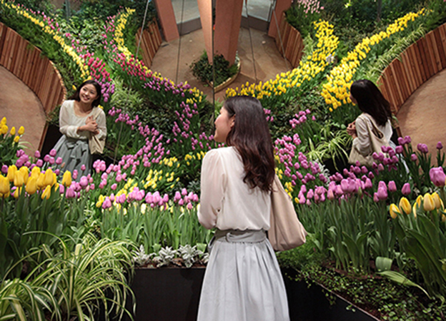 繽紛花園